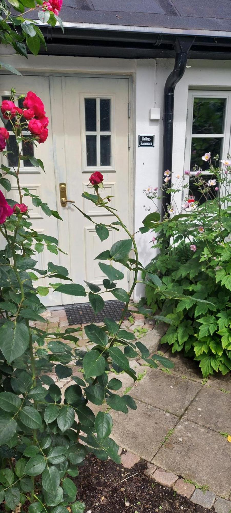 Bjerred B&B Bjarred Exterior photo