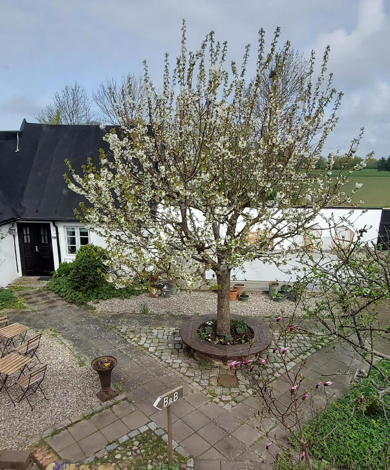 Bjerred B&B Bjarred Exterior photo